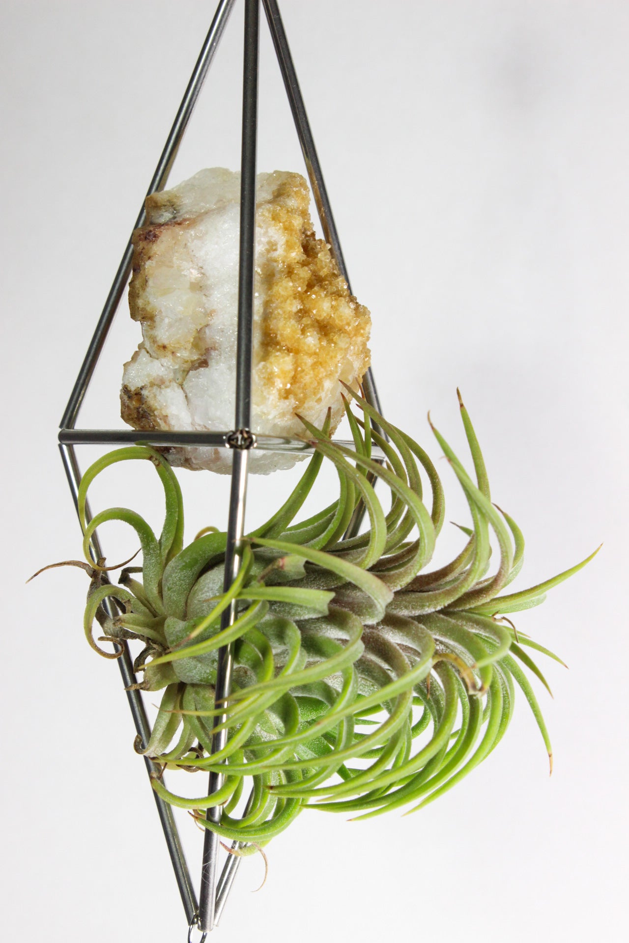 Citrine Stained Glass Sun Catcher Ornament with Airplant