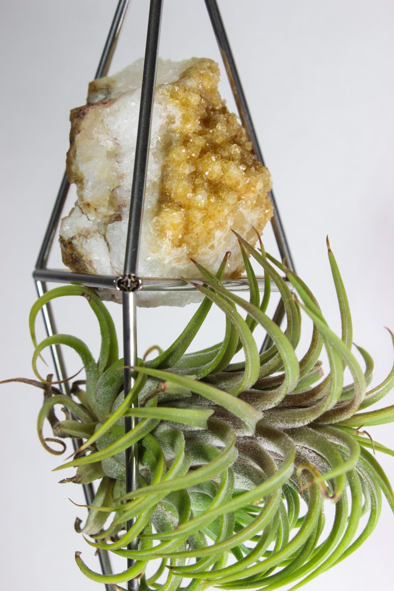 Citrine Stained Glass Sun Catcher Ornament with Airplant