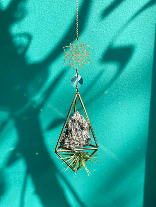 Pyrite Air Plant Sun Catcher