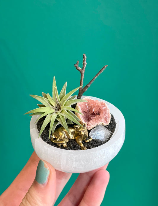 Small Crystal Rock Garden
