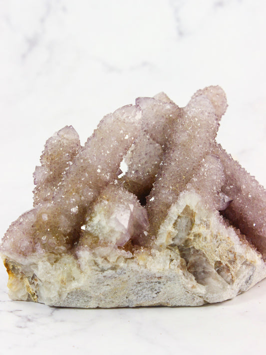 Cactus Amethyst Specimen