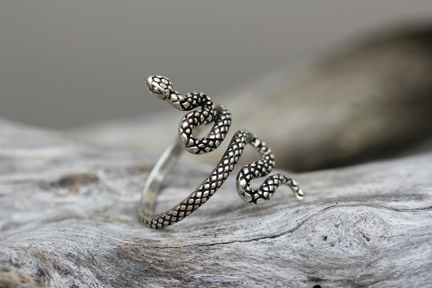 Textured Silver Snake RIng