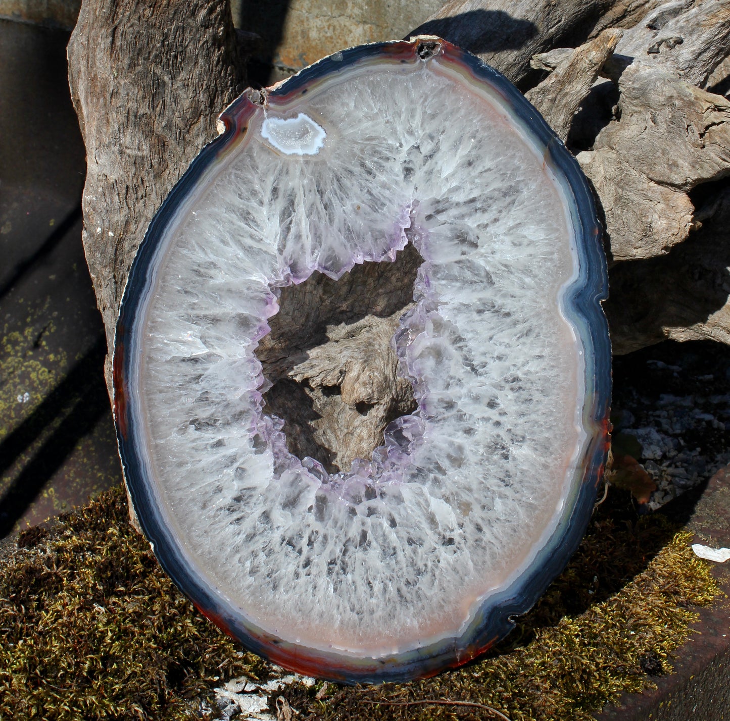 White Agate Slice with Purple Center