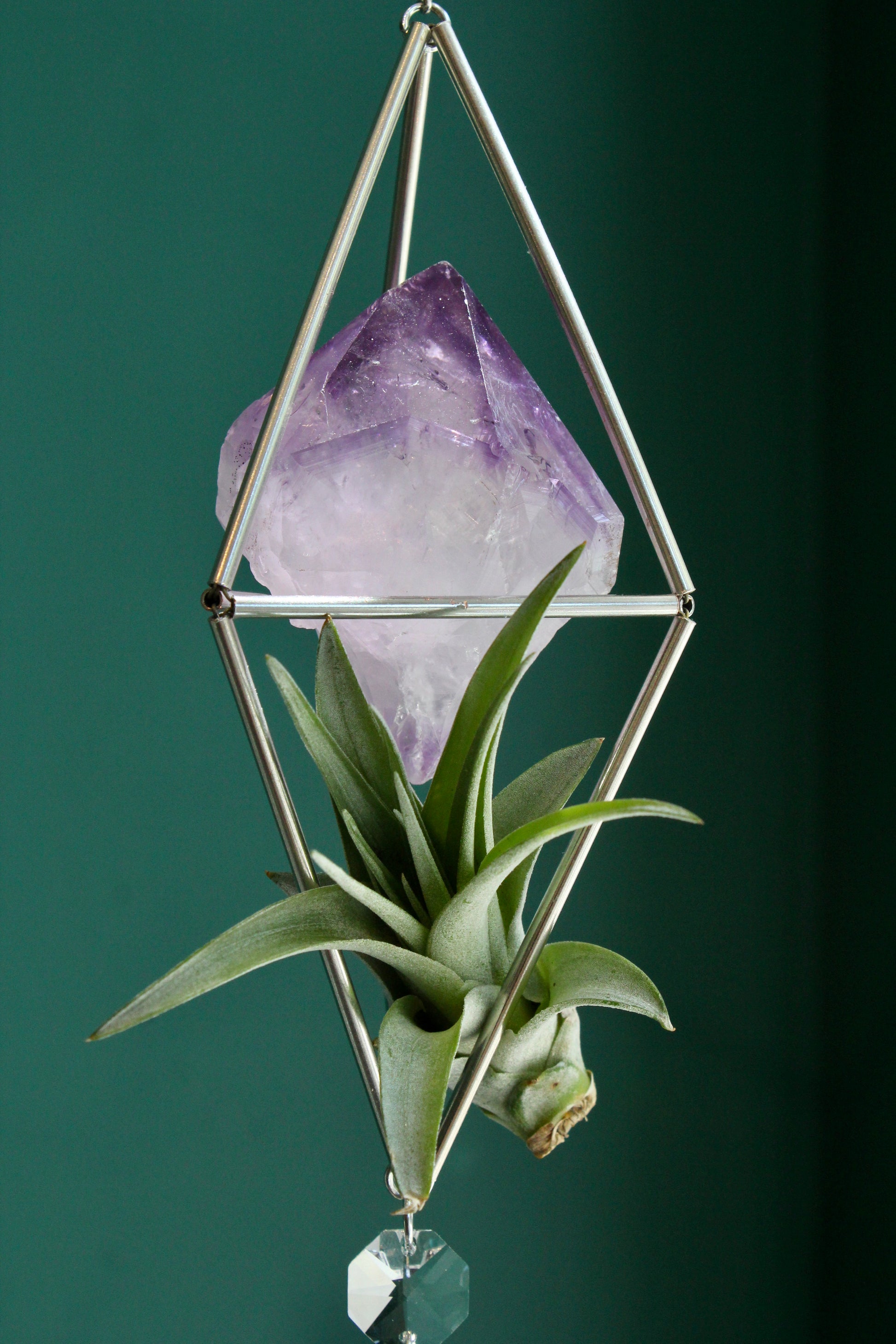 amethyst crystal air plant Amethyst Crystal Stained Glass Sun Catcher with Air Plant – Annick Designs