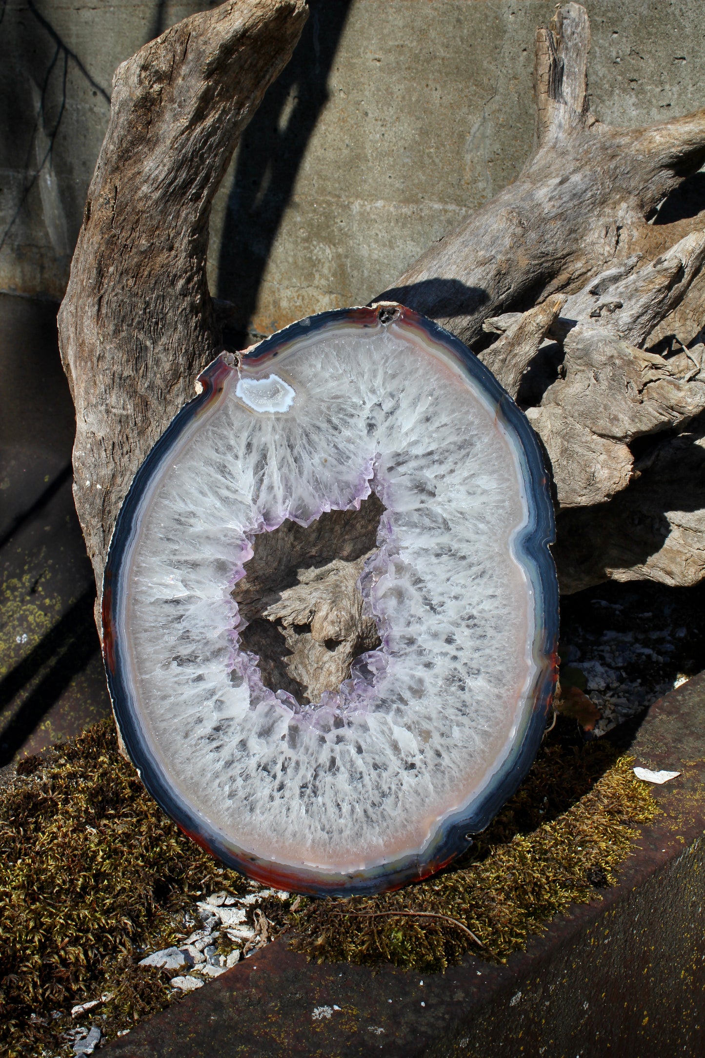 White Agate Slice with Purple Center
