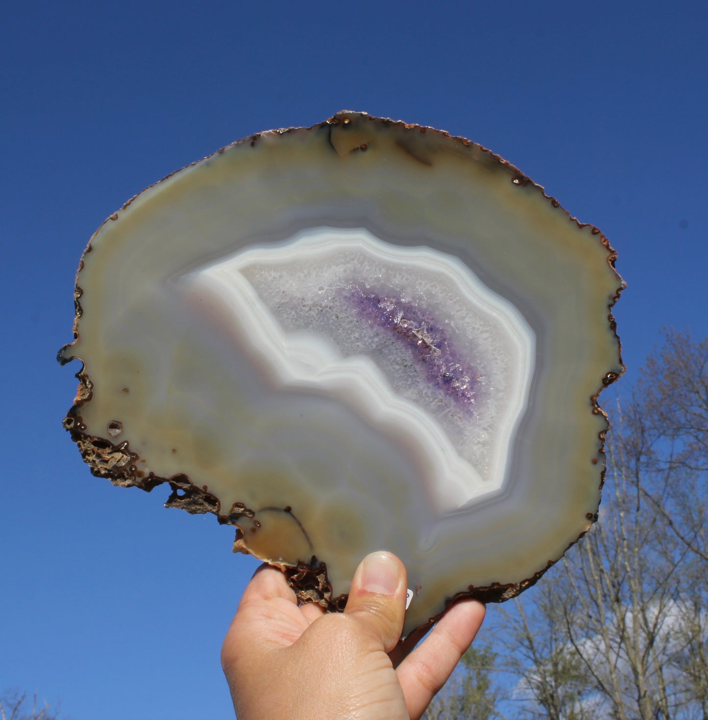 Natural Agate Slice with Purple Center