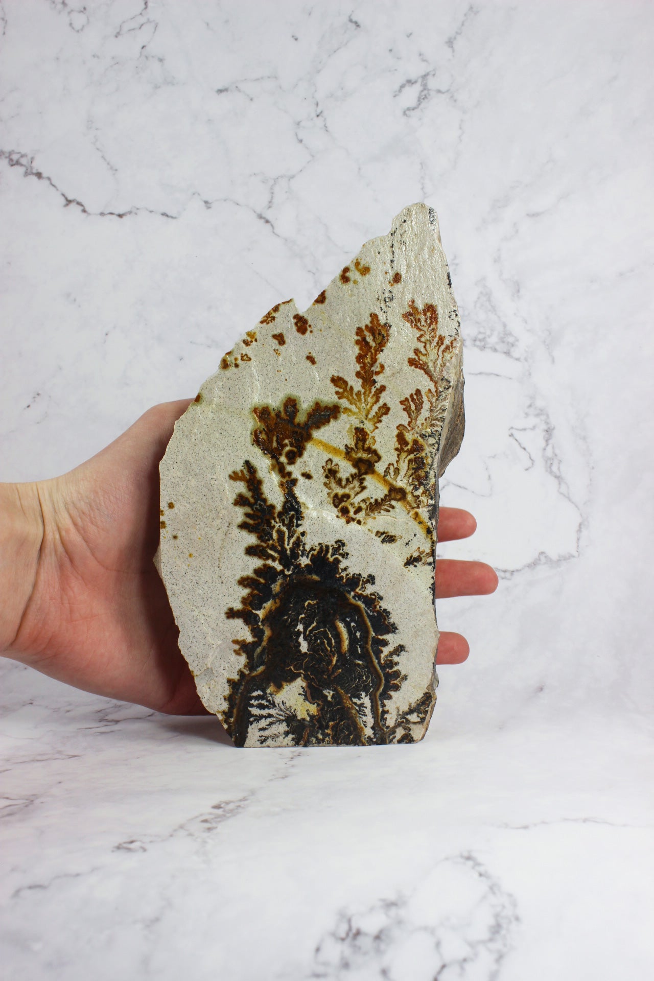 Flame Dendritic Quartzite