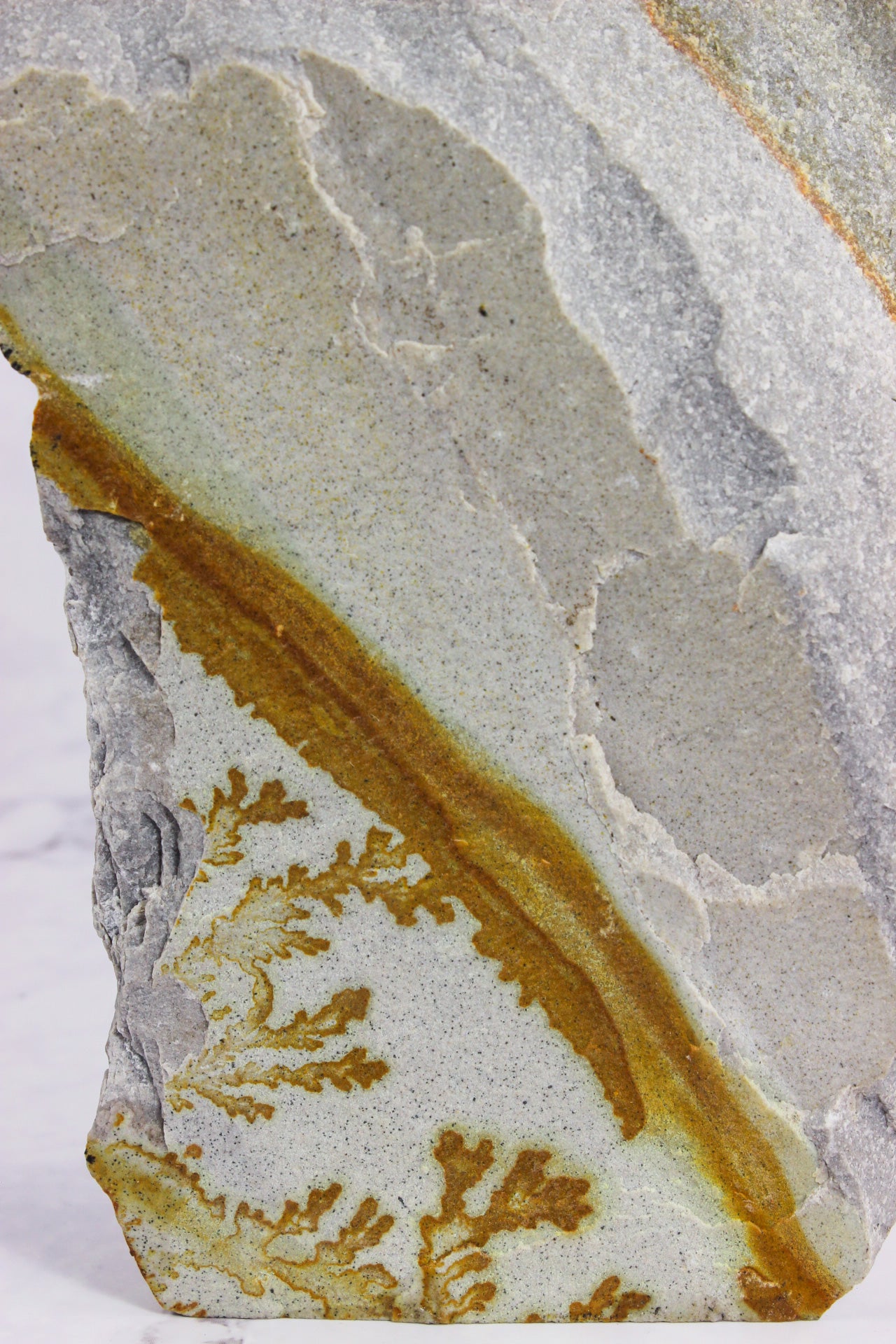 Flame Dendritic Quartzite